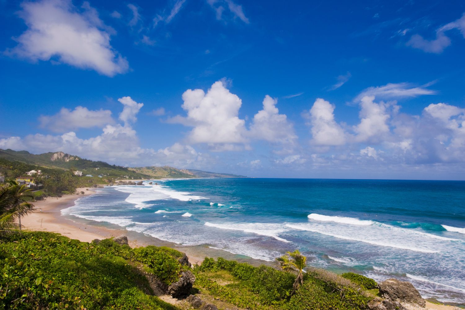 Bathsheba Beach 