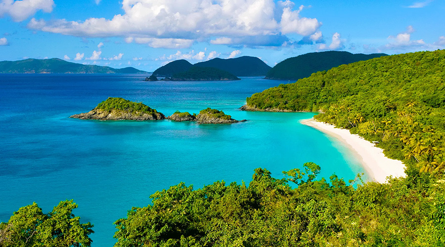 Trunk Bay