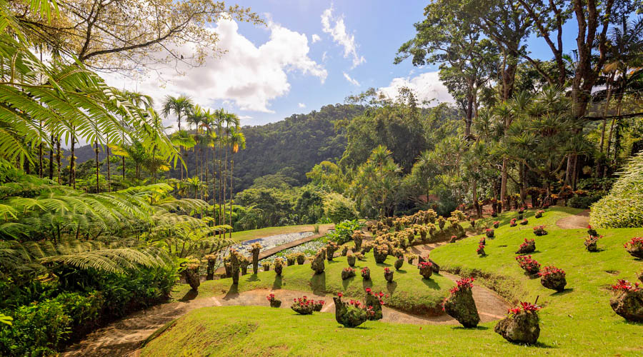 Martinique's Balata Garden