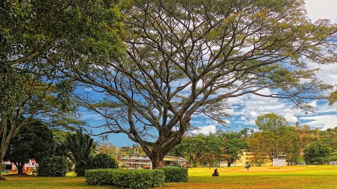 Dominica Botanic Gardens