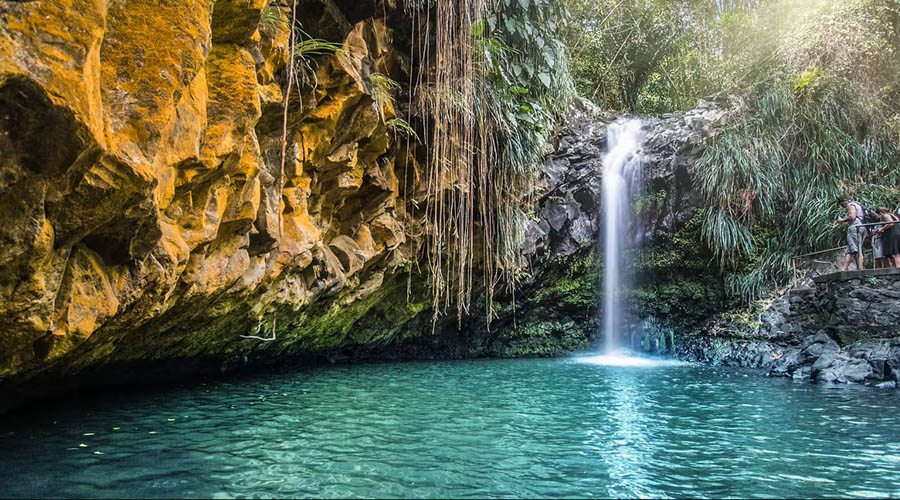 Annandale Waterfall and Forest Park