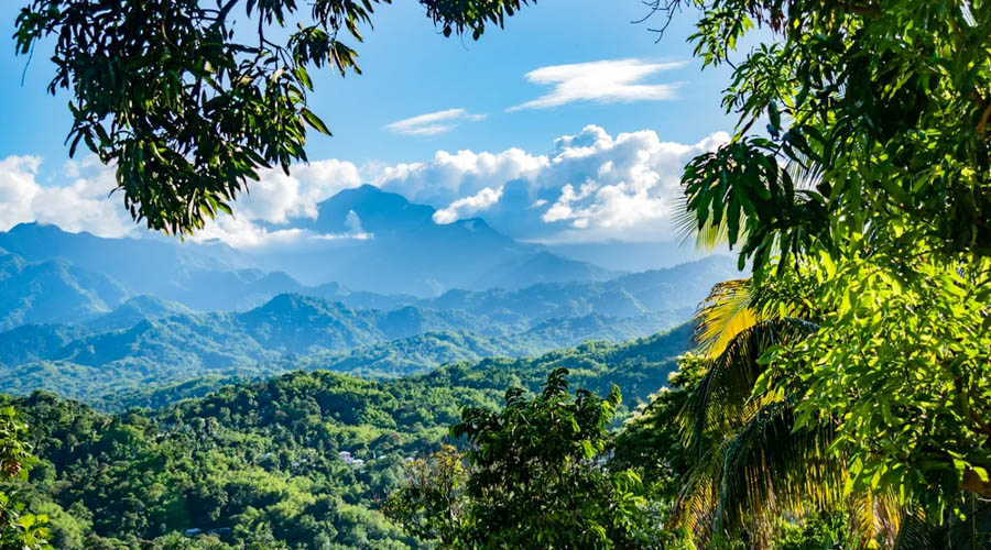 The Blue Mountains of Jamaica