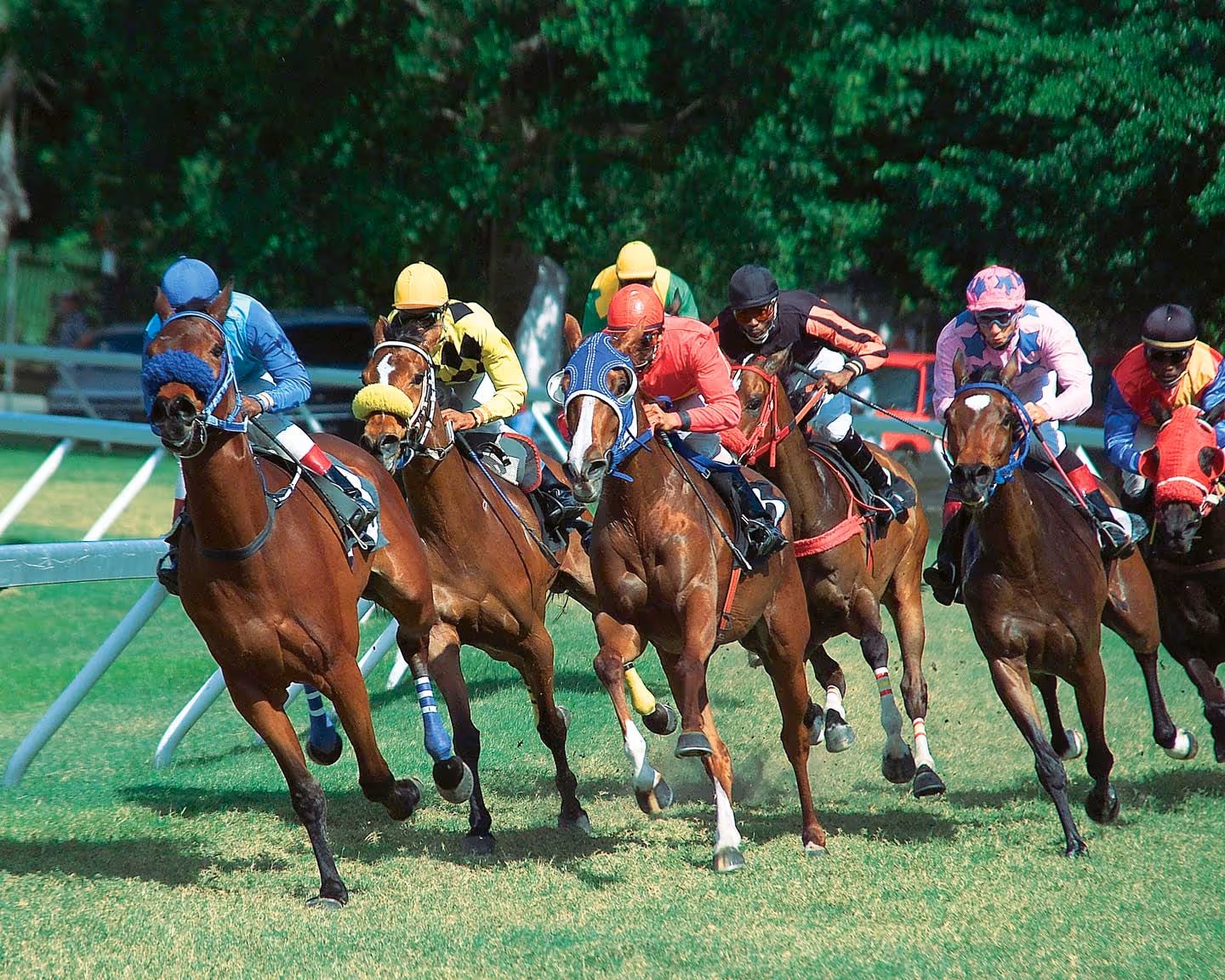 Sandy Lane Gold Cup Festival 