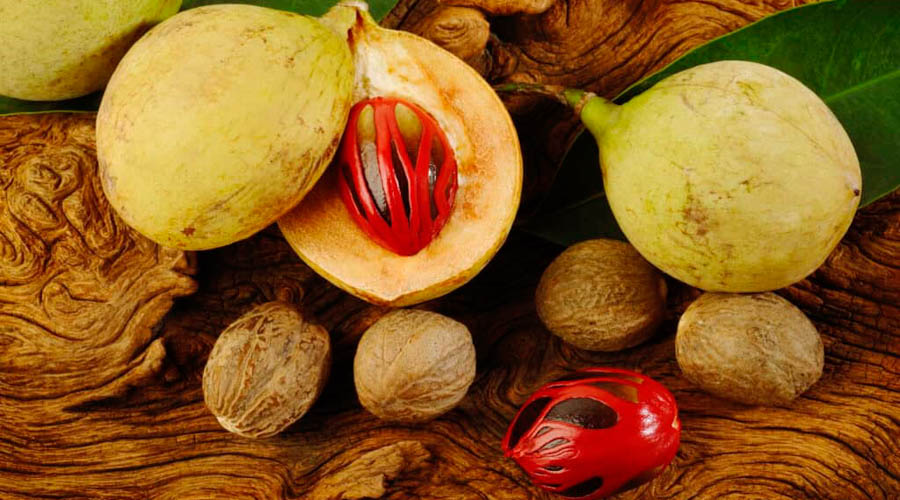 Your Spice Isle Souvenir Headquarters